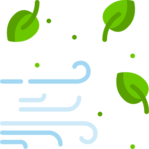 Freshness