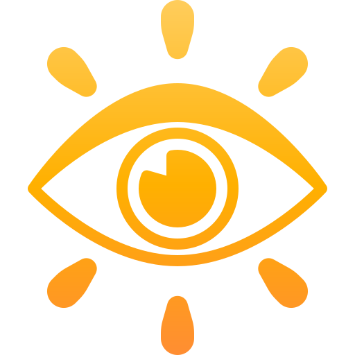 vision